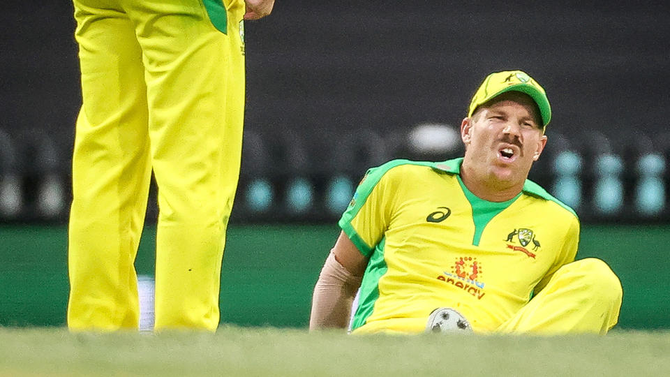 David Warner, pictured here after suffering a groin injury during the second ODI against India.