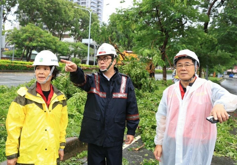 陳其邁(中)視察楠梓路樹障礙排。   圖：高雄市政府提供