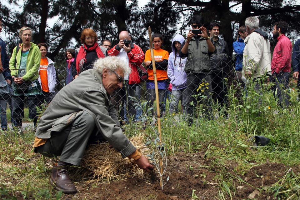 An urban farmer plants an olive tree and local people look on, in the former military camp Karatasiou, in the Northern Greek city of Thessaloniki, on Sunday, April 27, 2014. Volunteer residents are being encouraged to utilize many suburban areas left vacant amidst a drop in real estate prices, to grow crops aimed at helping people hit by the country's financial crisis. (AP Photo/Nikolas Giakoumidis)