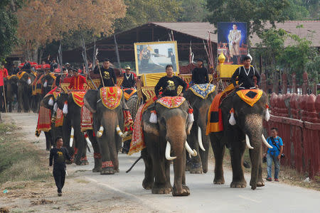 Mahouts ride on their elephants during Thailand's national elephant day celebration in the ancient city of Ayutthaya March 13, 2017. REUTERS/Chaiwat Subprasom