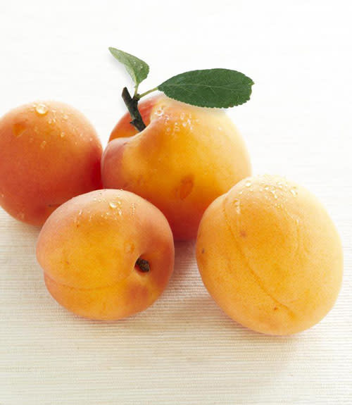 June: Apricots