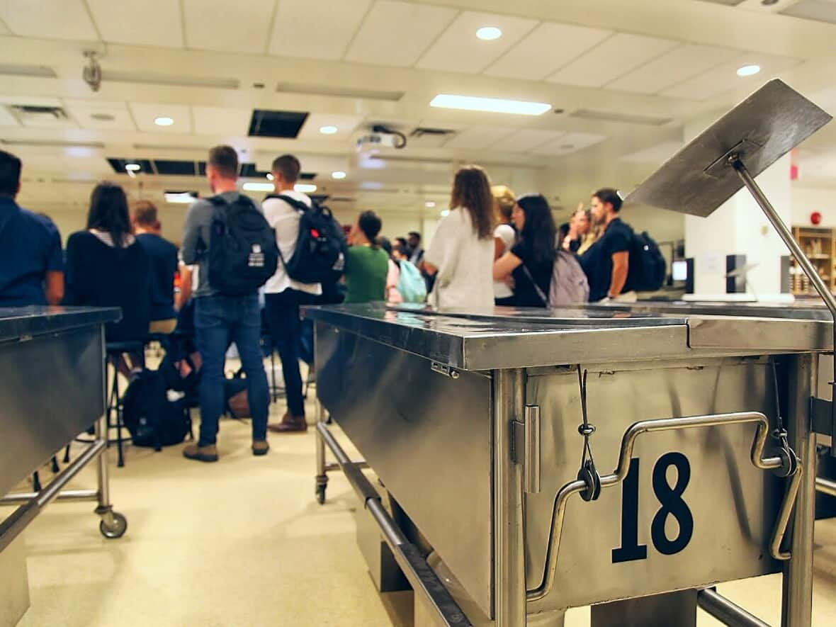 Human cadavers are kept in numbered dissection tables at each student work station at the University of Ottawa. Universities say cadaver donations are down post-pandemic. (Stu Mills/CBC - image credit)