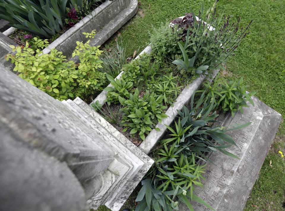 Gardened cradle graves are seen at the Woodlands Cemetery Saturday May 4, 2019 in Philadelphia. The cemeteries of yore existed as much the living as for the dead. And a handful of these 19th century graveyards are restoring the bygone tradition of cemetery gardening. (AP Photo/Jacqueline Larma)