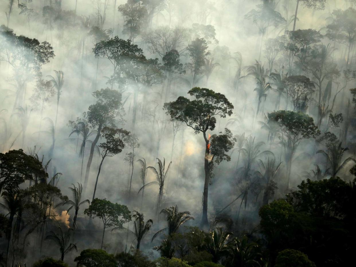 Smoke billows from a fire in an area of the Amazon rainforest near Porto Velho, Rondonia State, Brazil: Reuters