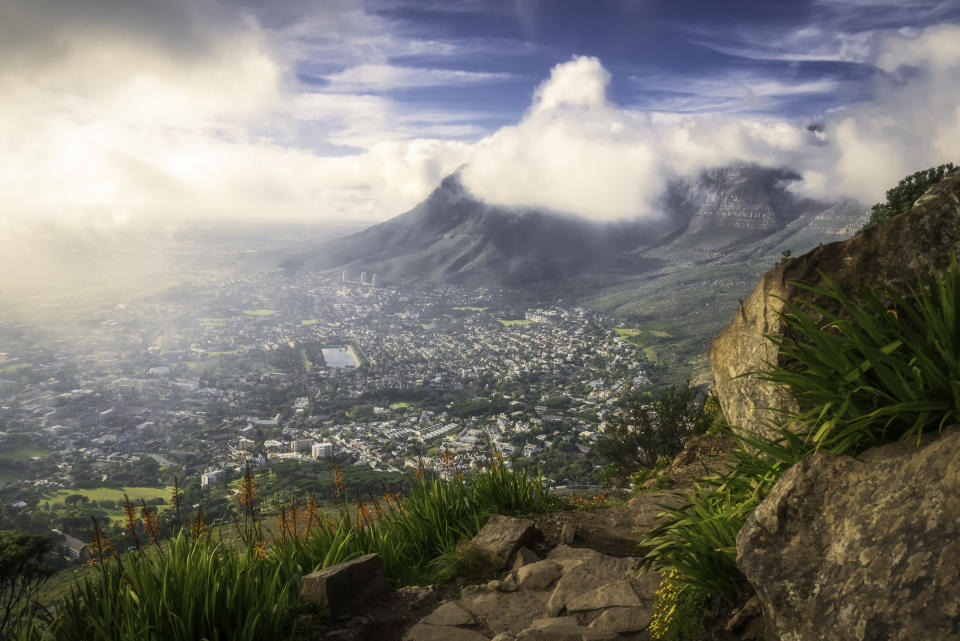 The view from Lion's Head, South Africa.