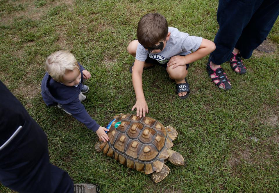 Riley Brown (left), 2, of Yarmouth, and Vanek Zaniboni, 6, of Osterville, interact with Valley, an African sulcata tortoise, during the Cape Cod Wildlife Festival at Long Pasture Wildlife Sanctuary in 2018.