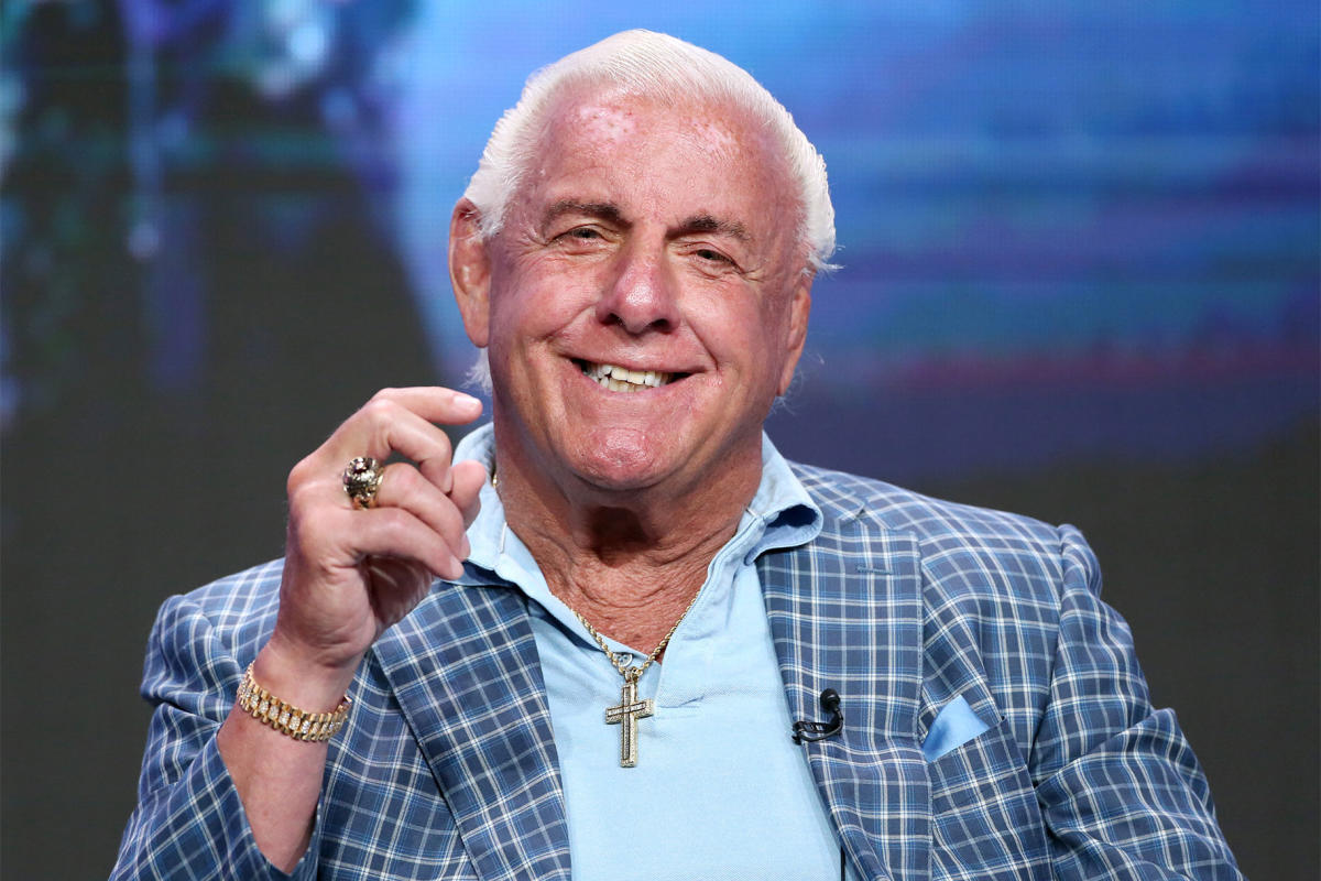 Ric Flair Wants One More Match in WWE