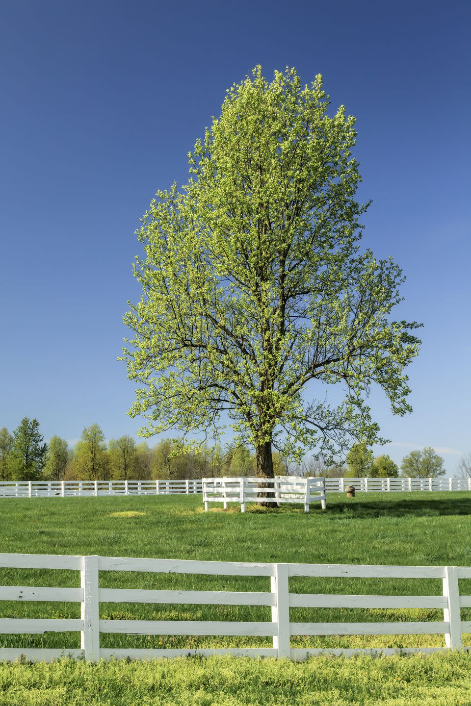 South Park View, Kentucky