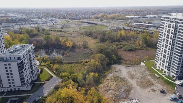 It’s still not known why men allegedly dragged pipes, a pump and hoses into the thickly wooded sector near St-Elzéar Boulevard West, but the city, police and province are looking into it. (CBC - image credit)