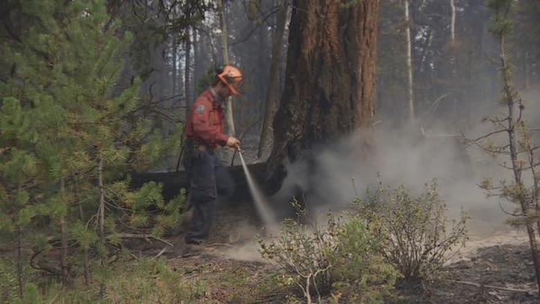 Cooler temperatures help with mop up of Okanagan Lake fires