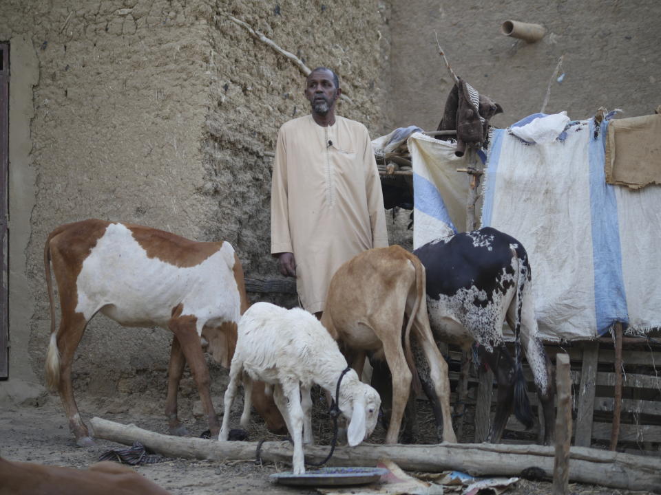 Kola Bah, un antiguo guía turístico que está desempleado desde el inicio de la violencia en Mali y que ahora vende uno de los animales de su pequeño rebaño cuando necesita llegar a final de mes, posa para una fotografía en Djenné, Mali, el 9 de mayo de 2024. La Gran Mezquita de Djenné — el edificio de adobe más grande del mundo — solía atraer a decenas de miles de turistas al centro de Mali cada año. Ahora está amenazada por el conflicto entre los rebeldes yihadistas, las fuerzas del gobierno y otros grupos. (AP Foto/Moustapha Diallo)