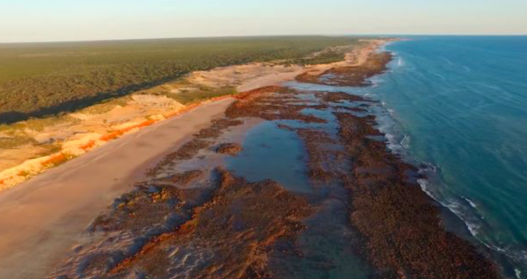 The footprints were discovered on a stretch of beach in Western Australia (Queensland University/James Cook University)