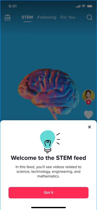 The new TikTok Stem feed