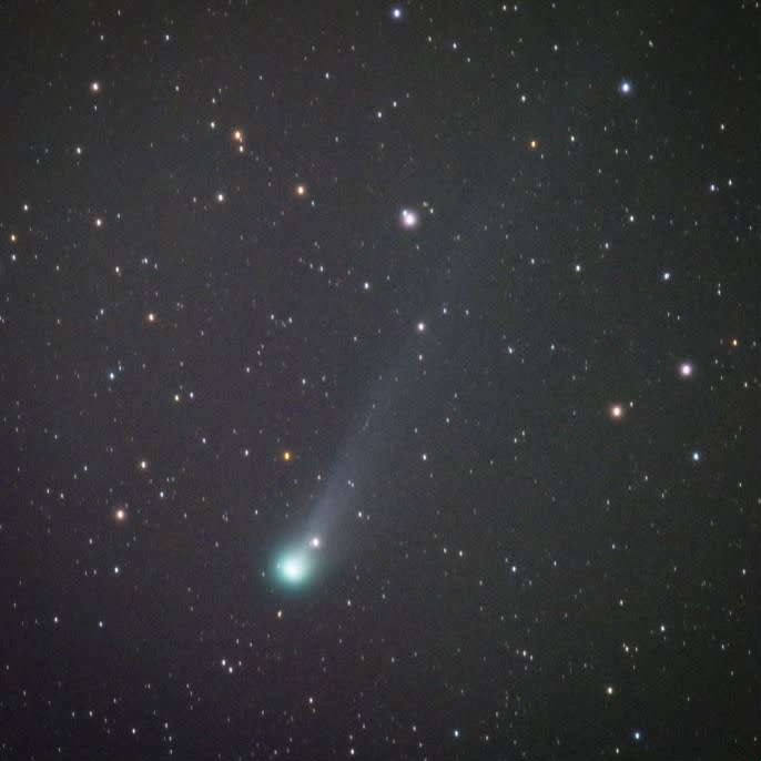 a green glowing nucleus of the comet is visible with a long tail against a star studded sky.