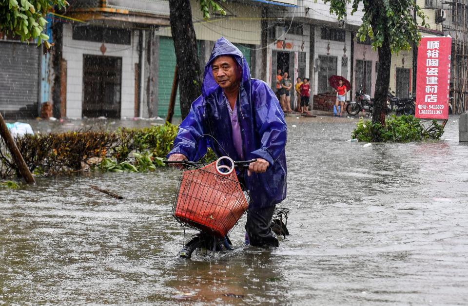 Pictures of the Week