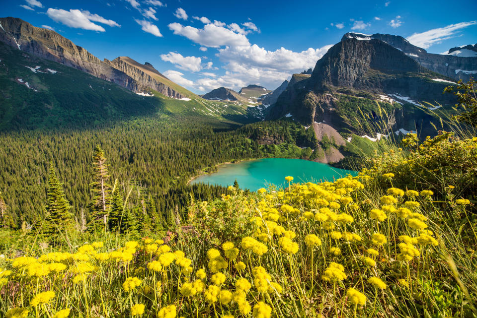 Wildflowers and an overlook at Grinnell Lake.