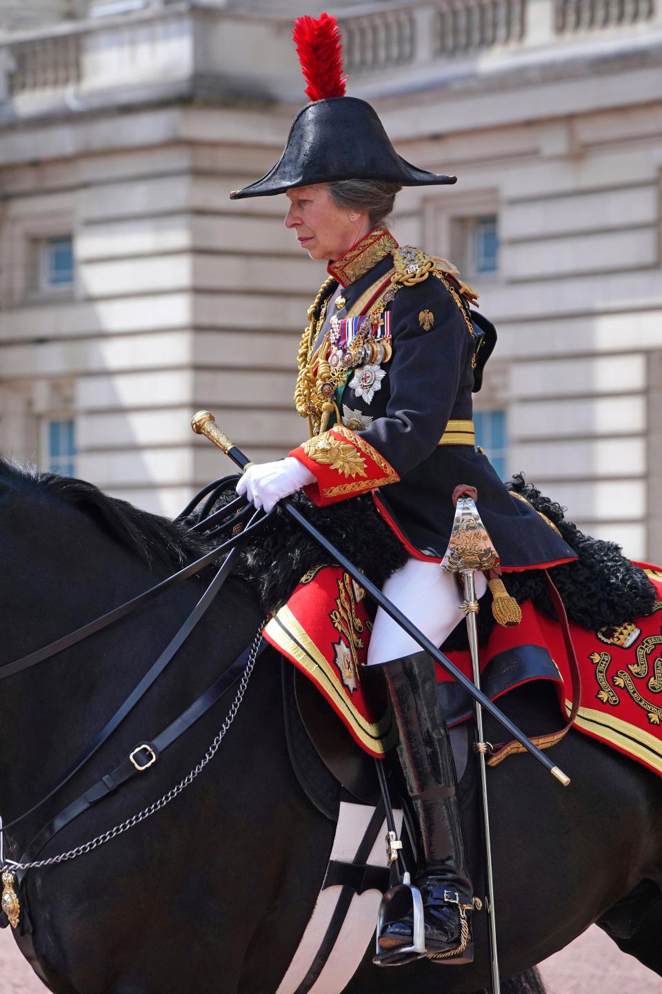 Princess Anne is an experienced horsewoman. (AP)