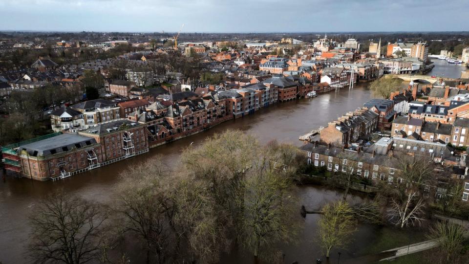 An aerial picture taken on January 24, 2024 shows a fallen tree laying down in water following the bursting of the banks of the River Ouse following storm Jocelyn (AFP via Getty Images)