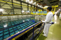 FILE PHOTO: A technician looks at the pool storage where spent nuclear fuel tanks are unload in baskets under 4 meters of water to decrease temperature as part of the treatment of nuclear waste at the Areva Nuclear Plant of La Hague, near Cherbourg, western France, April 22, 2015. REUTERS/Benoit Tessier/File Photo