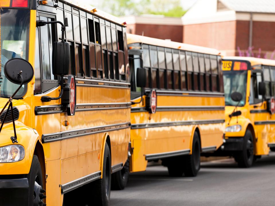 Yellow school busses