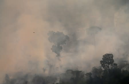 An aerial view of a burning tract of Amazon jungle as it is cleared by loggers and farmers near Porto Velho