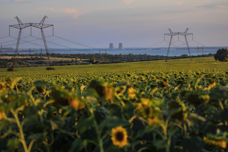 Al otro lado del río Dniéper, la central nuclear de Zaporiyia puede verse desde los campos en el territorio controlado por Ucrania cerca de Nikopol el 29 de julio de 2022. 