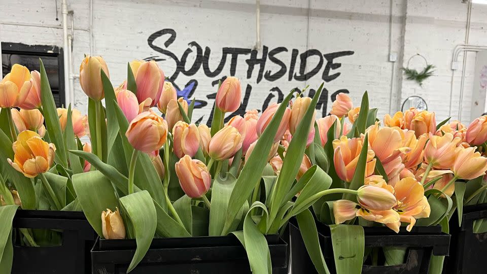 Dozens of tulips await to be arranged at the Southside Blooms floral shop in Englewood, Chicago, Illinois. - Courtesy Southside Blooms