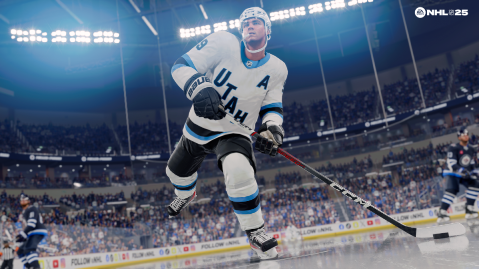 <p>EA Sports NHL</p>