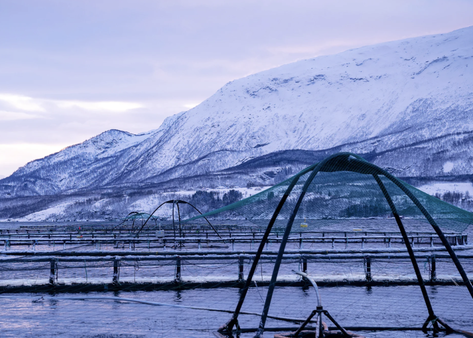 Aquaculture pens in Norway (Tidal)