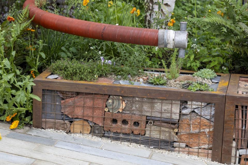 the pulp friction growing skills garden people’s choice award rhs chelsea flower show 2024