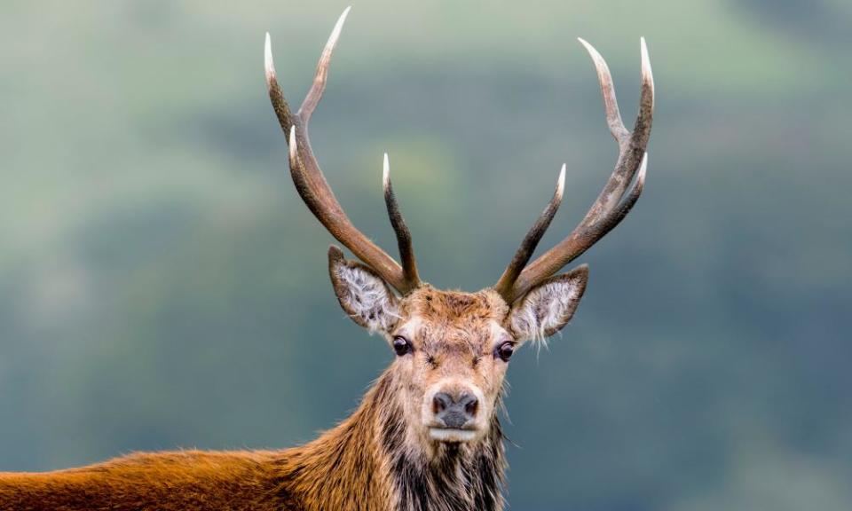 <span>Photograph: Alex Fieldhouse/Alamy</span>