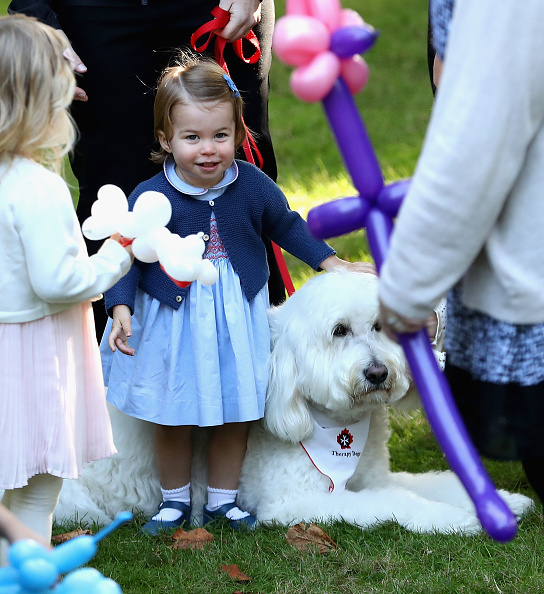 La niña parecía fascinada por los animalitos presentes, como un perro terapéutico y un conejito.