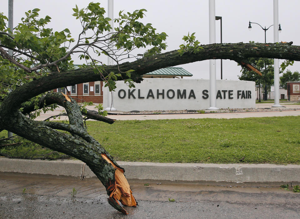 Fallen tree at Oklahoma State Fair Park