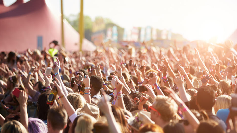 A group of people at a music festival