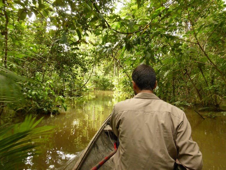 <span class="caption">Canoeing the Amazon.</span> <span class="attribution"><span class="source">Mark Abrahams</span>, <span class="license">Author provided</span></span>