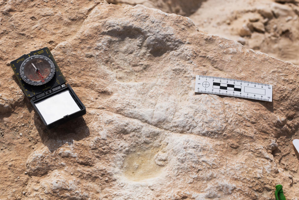 Image: First human footprint (Klint Janulis)