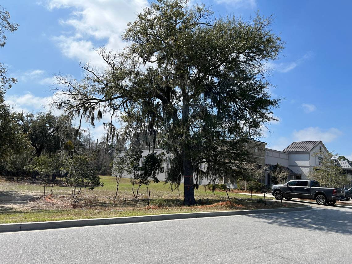 A three-acre vacant property at Sea Turtle Marketplace on Hilton Head Island is where Aldi plans to build a new grocery store.