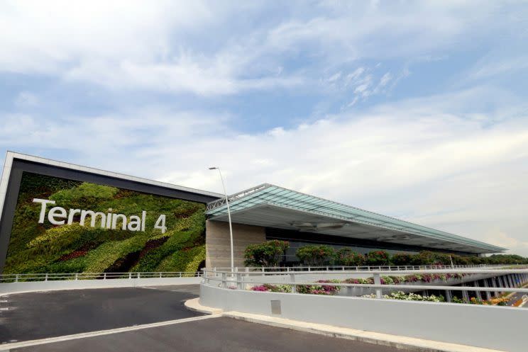 The greenwall on the facade of Changi Airport Terminal 4 consists of over 16,000 plants. Photo: Changi Airport Group