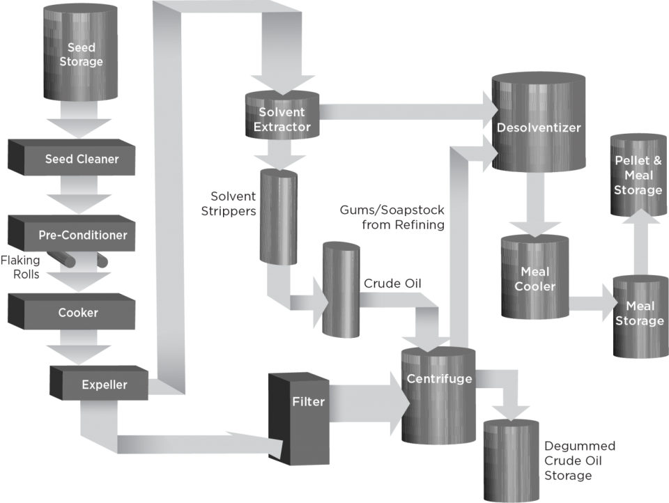 The processing stages of standard canola oil.