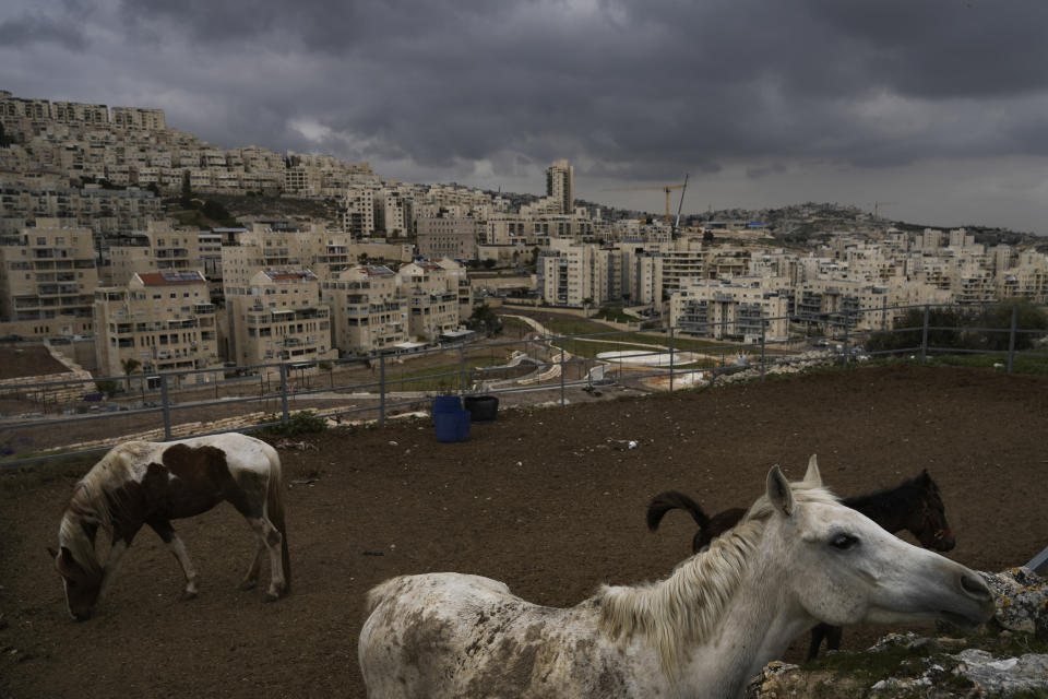 Horses walk in a farm belonging to a Palestinian family, in front of Har Homa, an Israeli settlement in east Jerusalem that Israel considers a neighborhood of its capital, Thursday, Feb. 23, 2023. (AP Photo/Mahmoud Illean)