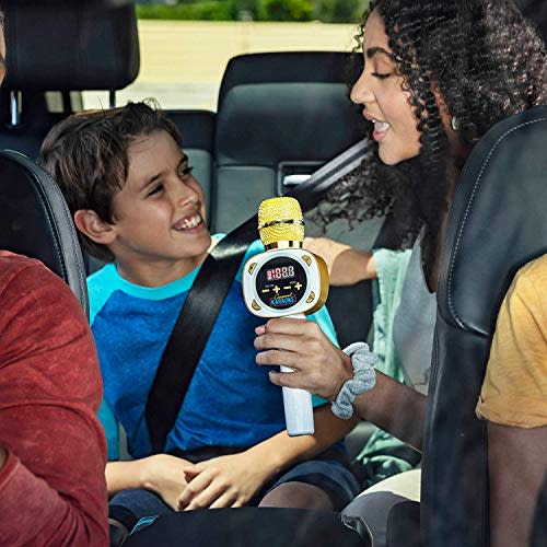 Singing Machine Carpool Karaoke Mic (Amazon / Amazon)