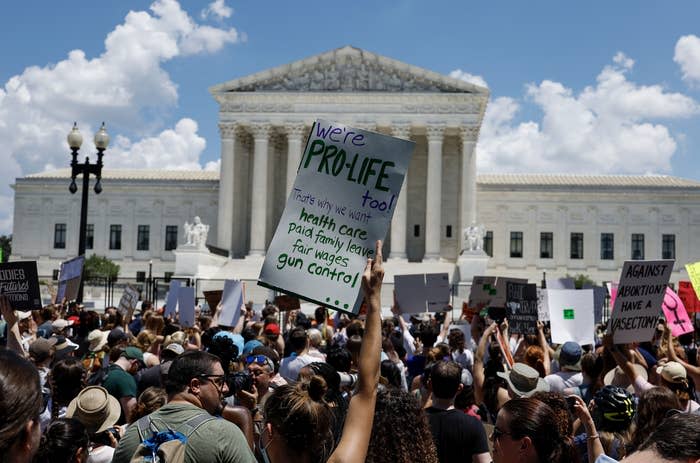 Crowd with protest signs in front of a courthouse, some advocating for pro-life positions