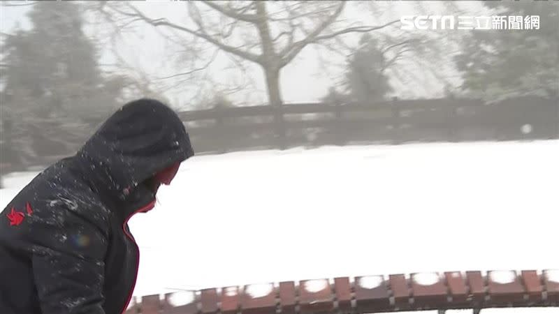 太平山開始下雪，白雪覆蓋的畫面相當美麗。