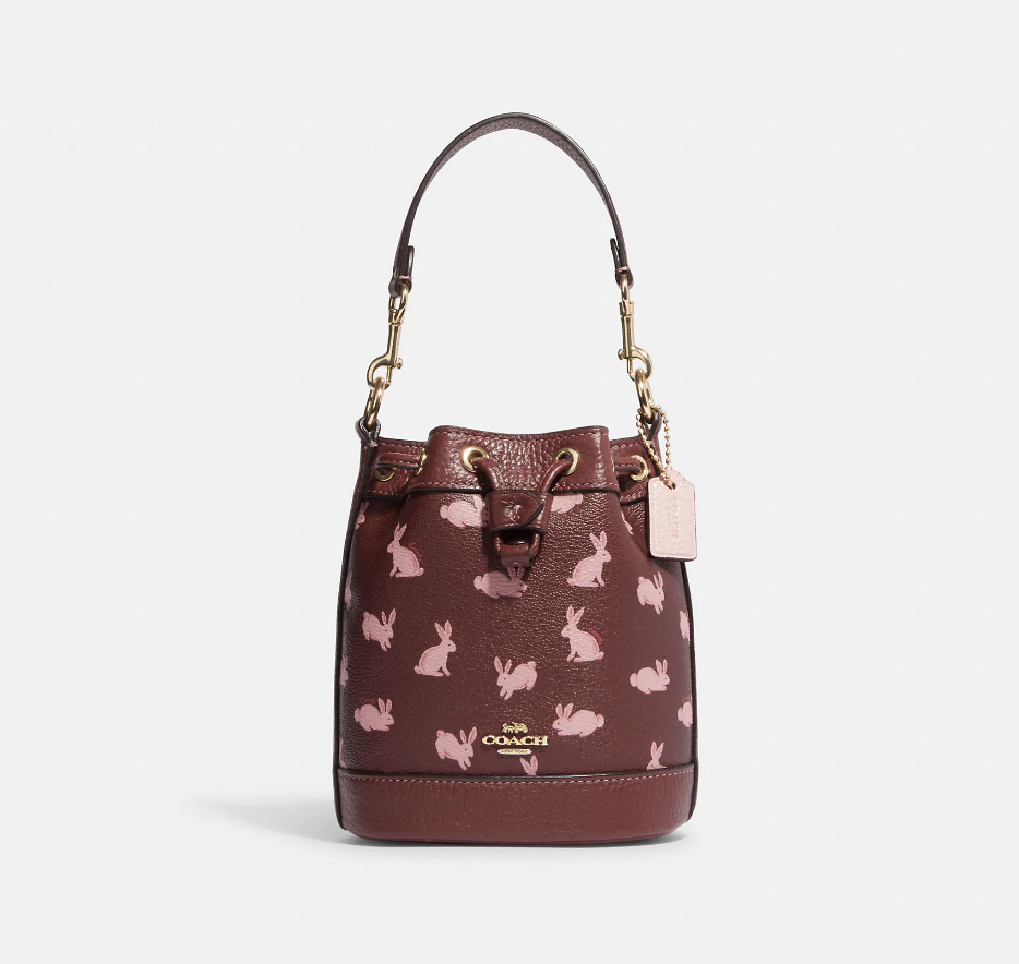 Lunar New Year Mini Dempsey Bucket Bag (Photo via Coach Outlet)