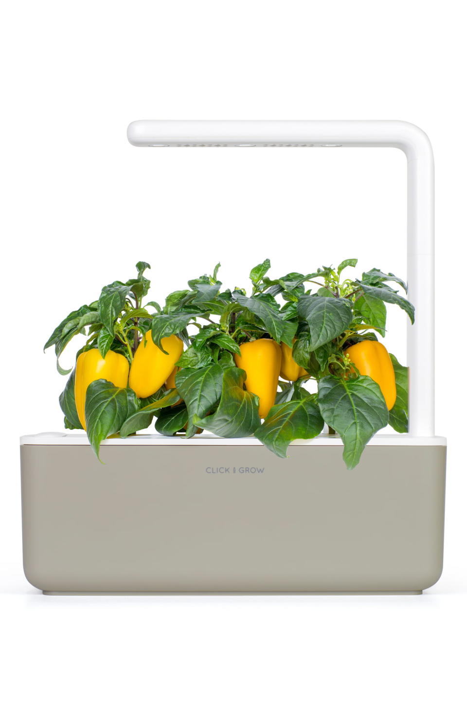 Click & Grow Smart Garden 3 Self Watering Indoor Garden