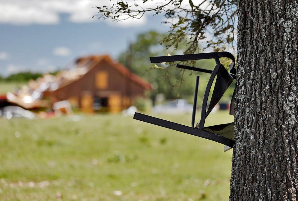 Patio chair embedded in tree