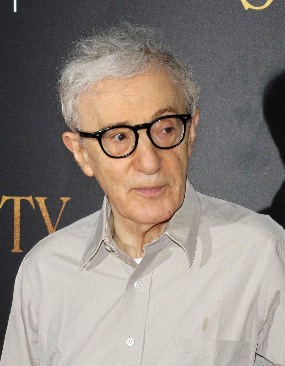 Woody Allen has continually denied the claims made against him. He is pictured here in 2016. Source: Getty