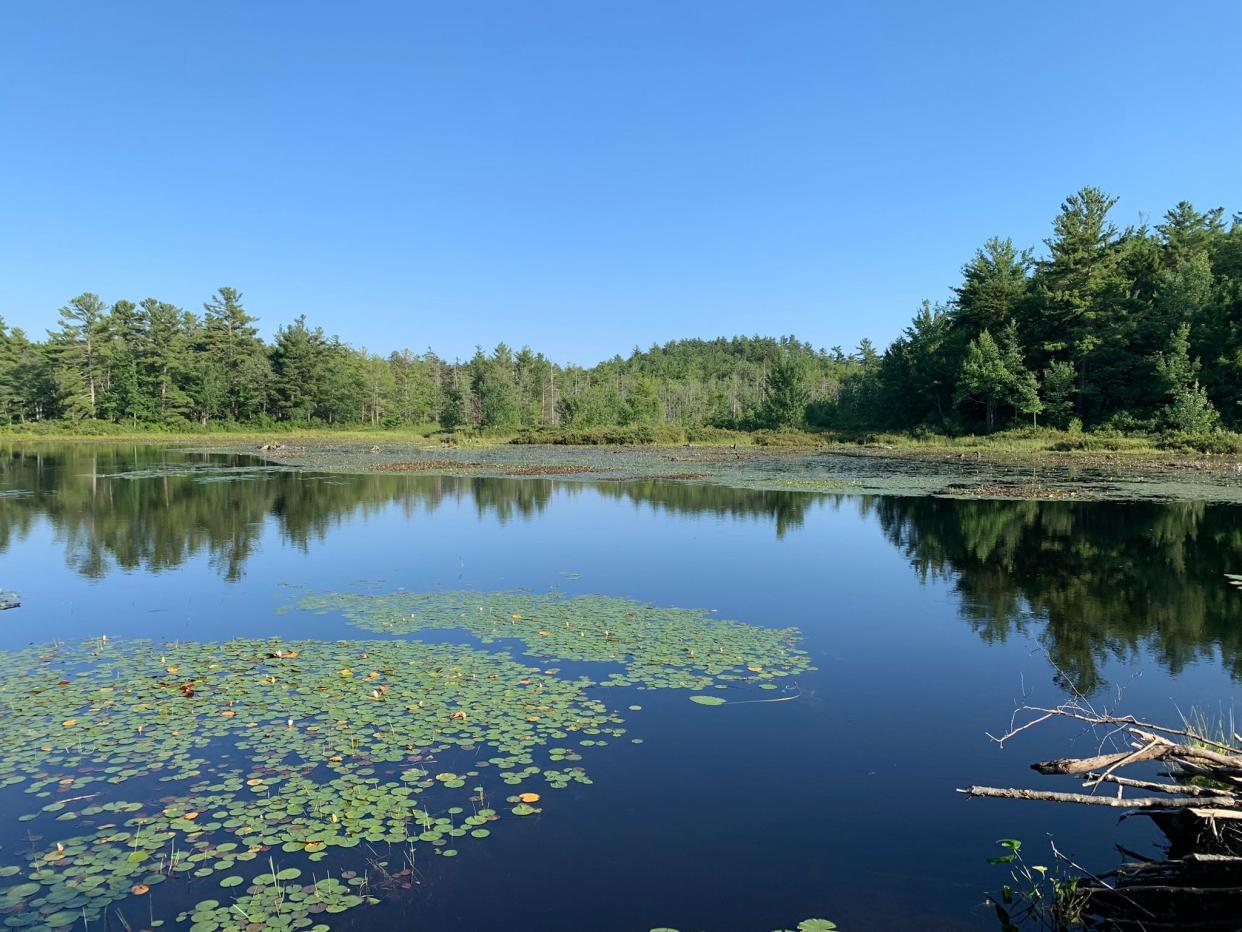 Winchendon Spring Lake Association and several residents of Lake Mononomac are in full support of the North County Land Trust land conservation project.