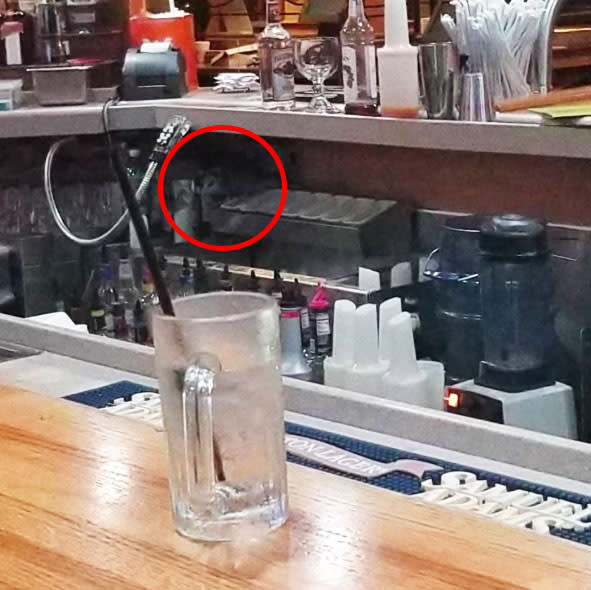 The opossum could be seen underneath the bar top. Source: Facebook Adriane Neico