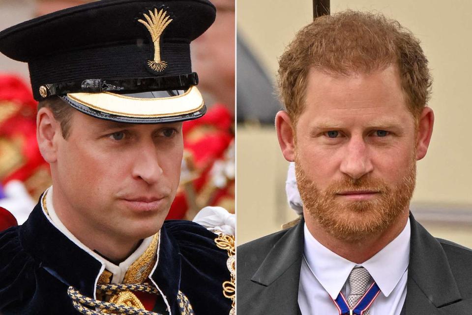 ODD ANDERSEN/AFP via Getty, Andy Stenning  - WPA Pool/Getty Prince William at the coronation of King Charles and Queen Camilla in London on May 6, 2023; Prince Harry at the coronation of King Charles and Queen Camilla in London on May 6, 2023. 